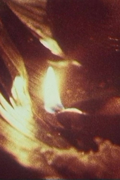 Die Hexer von Veyangoda movie poster