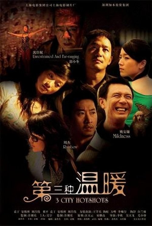 Poster do filme 3 City Hotshots