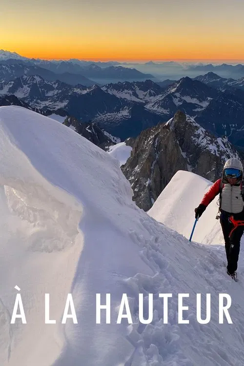 À la hauteur movie poster