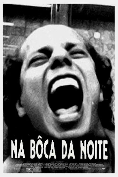 Na Boca da Noite movie poster