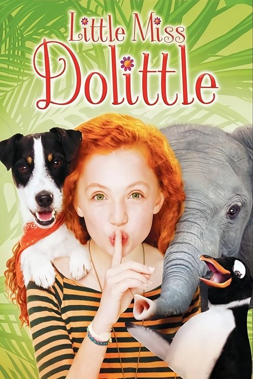 Little Miss Dolittle movie poster