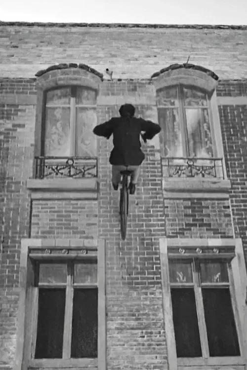 The Bicycle Robber movie poster