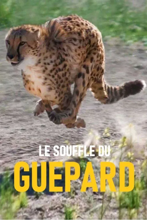 Le souffle du guépard movie poster