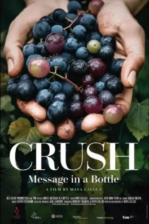 Crush: Message in a bottle movie poster