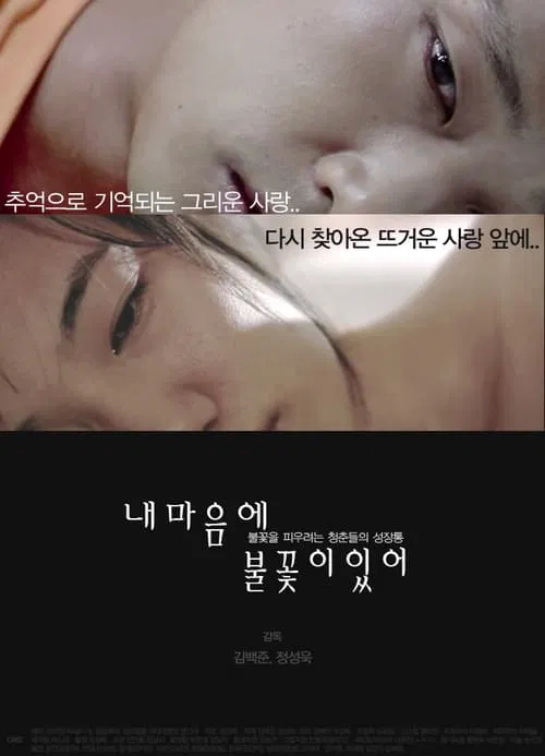 Poster do filme My Dear Diary
