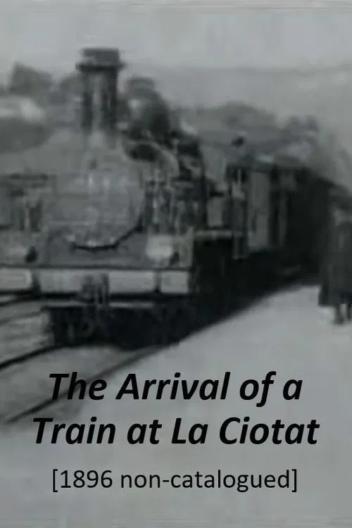 Train Pulling into a Station movie poster