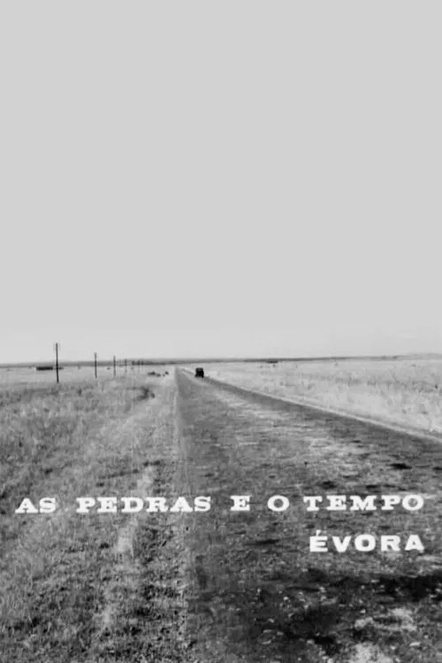 As Pedras e o Tempo movie poster
