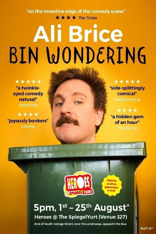 Ali Brice - Bin Wondering movie poster