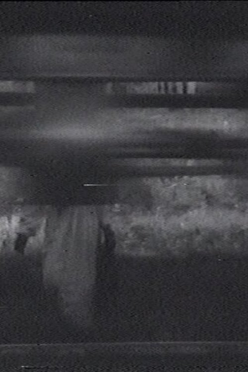 The Sparrow movie poster