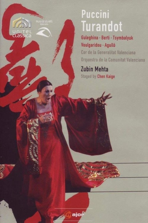 Turandot: Palau de les Arts de Valencia movie poster