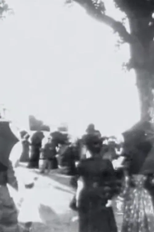 Pau : la place du marché movie poster