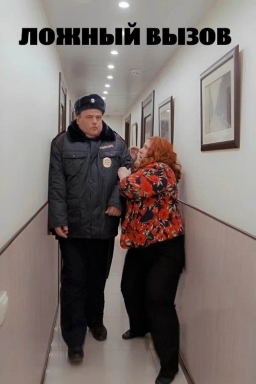 Poster do filme Misplaced Call