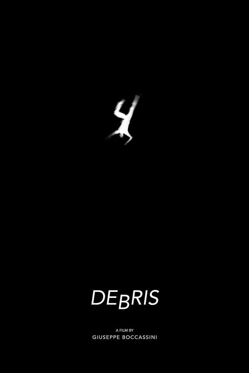 Poster do filme Debris