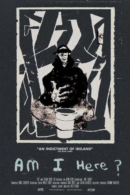 Am I Here? Homeless in Ireland movie poster