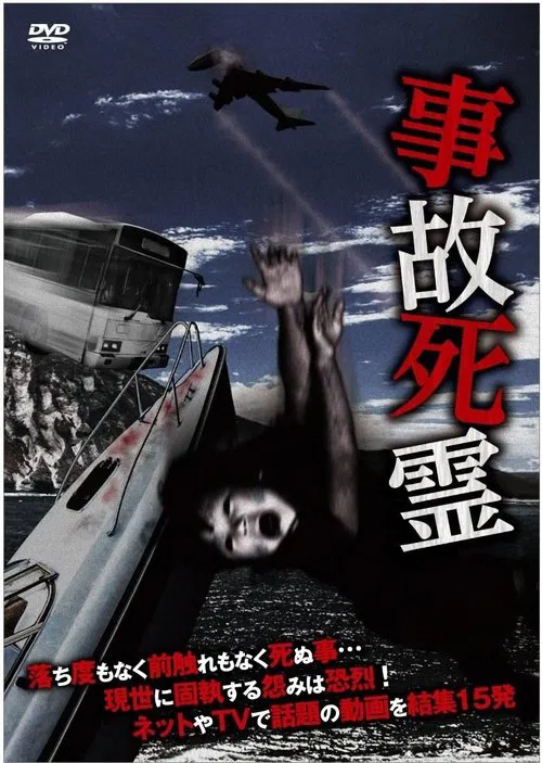 Poster do filme Accidental Dead Spirits