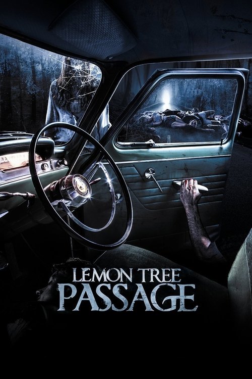 Lemon Tree Passage movie poster
