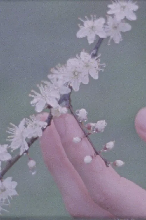 Trees That Come to Me in My Dreams movie poster