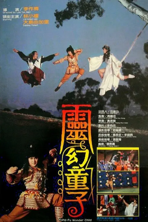 Poster do filme Kung Fu Wonder Child