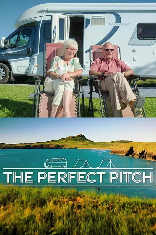 The Perfect Pitch tv show poster