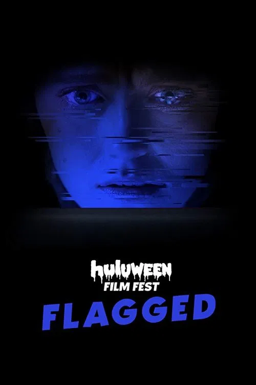 Flagged movie poster
