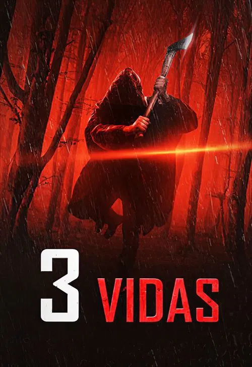 Poster do filme 3 Vidas
