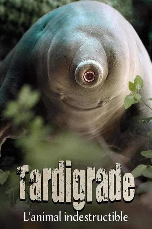 Tardigrade, l'animal indestructible movie poster