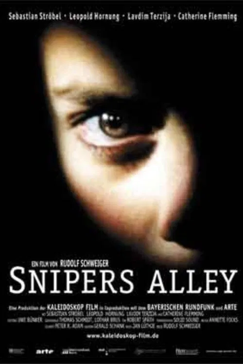 Snipers Alley movie poster
