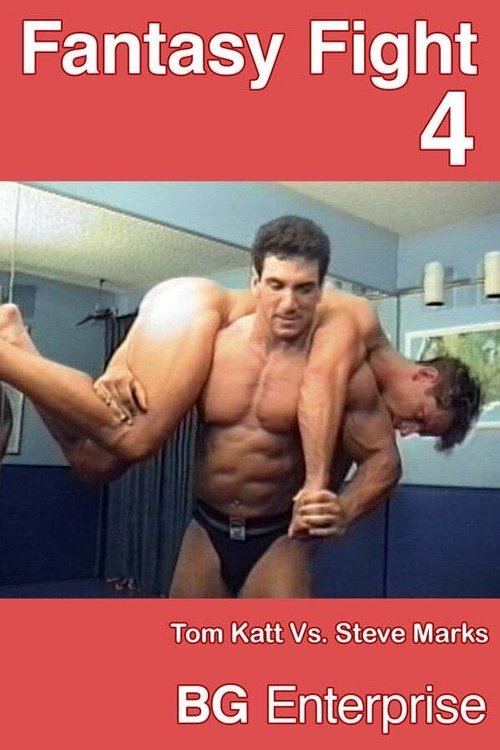 Fantasy Fight 4 movie poster