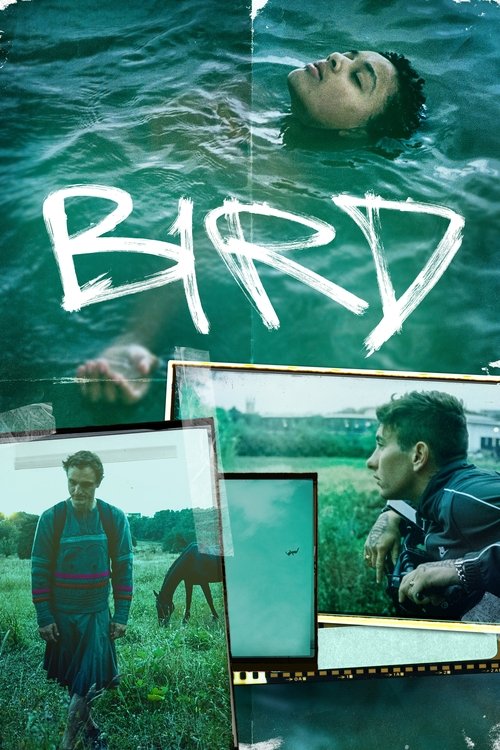 Bird movie poster