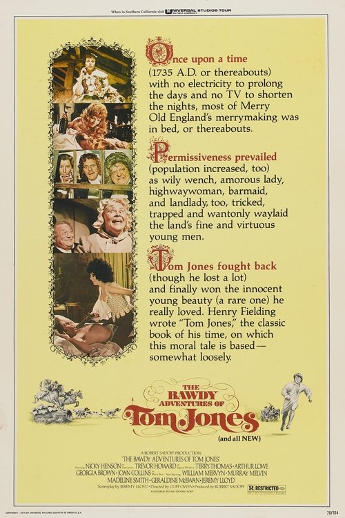The Bawdy Adventures of Tom Jones movie poster