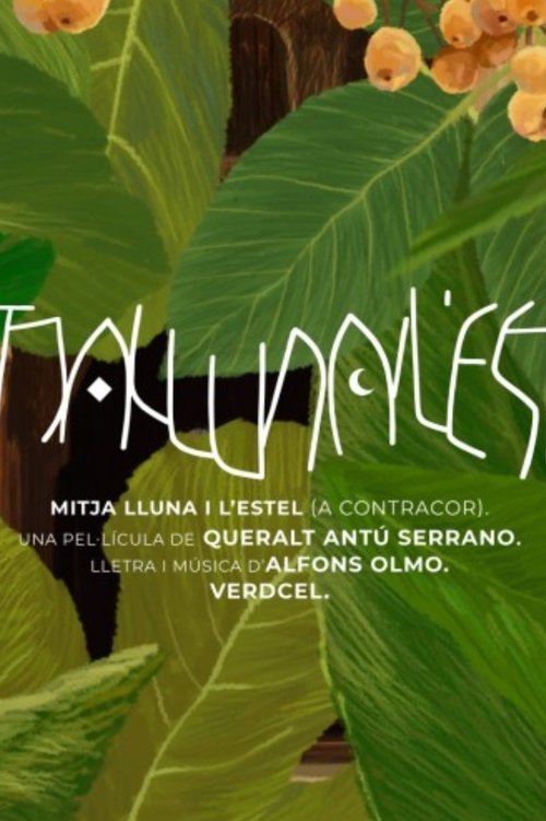 Mitja lluna i l’estel movie poster
