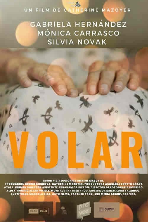 Volar movie poster