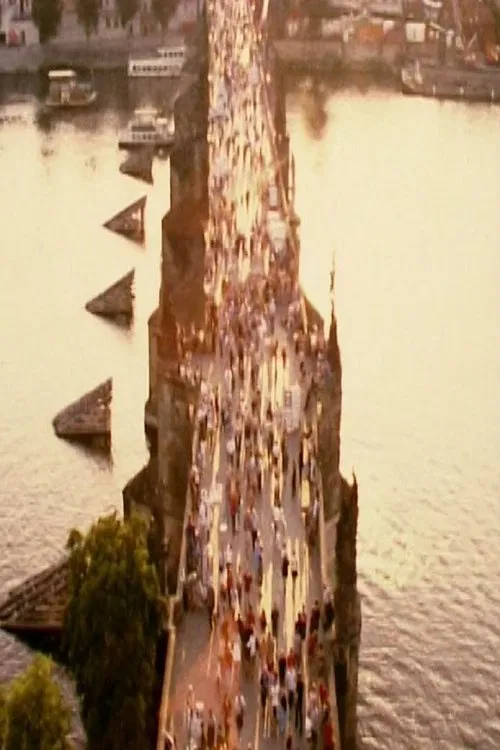 Arquitectura 3: Puente movie poster
