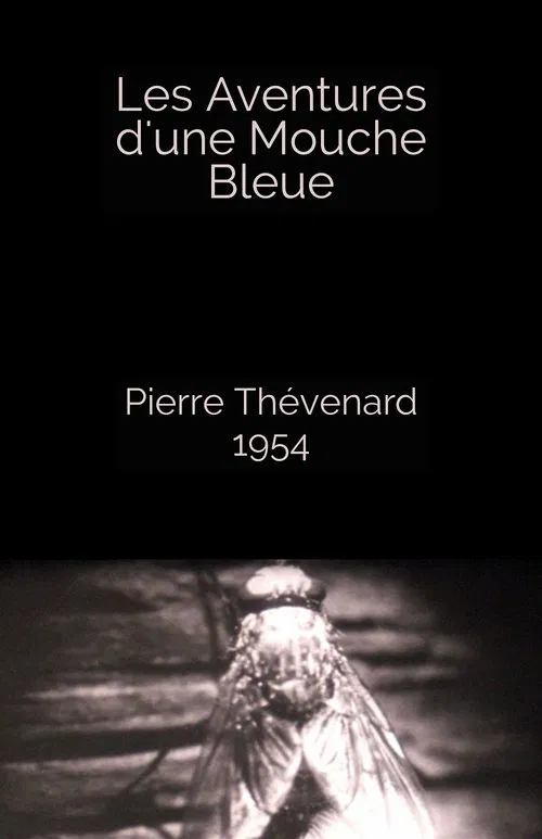 The Adventures of a Blue Fly movie poster
