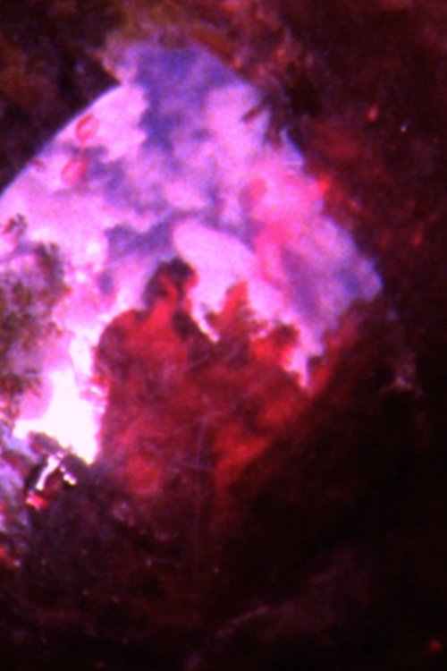 CRACK HOUSE movie poster