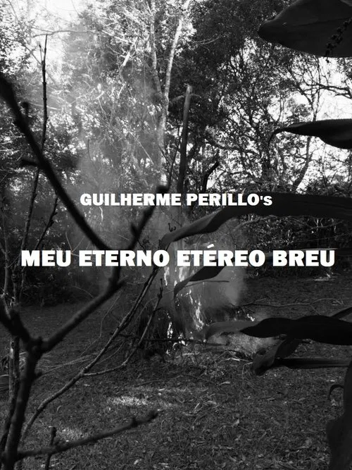 Meu Eterno Etéreo Breu movie poster