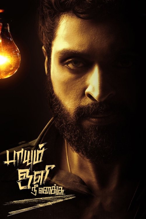 Paayum Oli Nee Yenakku movie poster