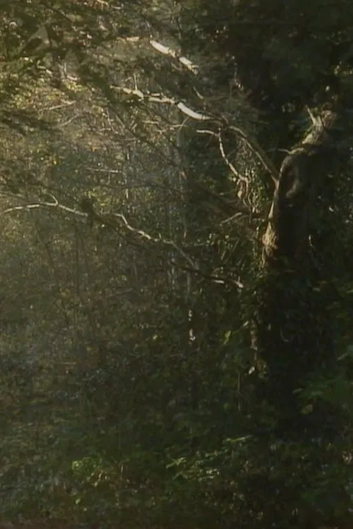 The Secluded Grove movie poster