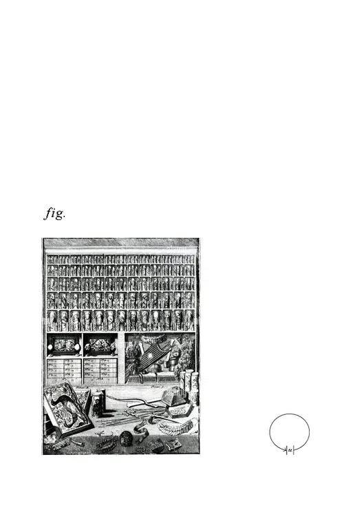 Wunderkammer movie poster