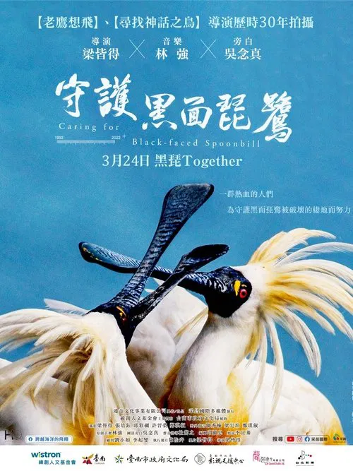 Caring for Black-Faced Spoonbill movie poster
