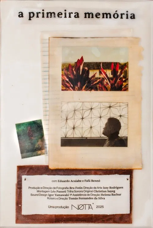 Poster do filme A primeira memória