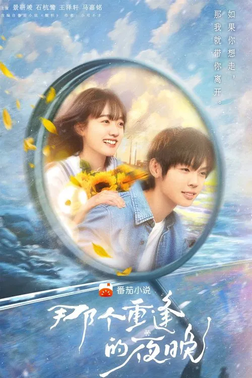 We Shall Meet Again tv show poster