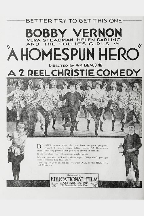 A Home Spun Hero movie poster