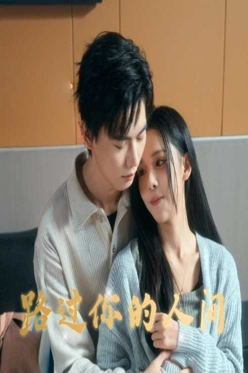 路过你的人间 tv show poster