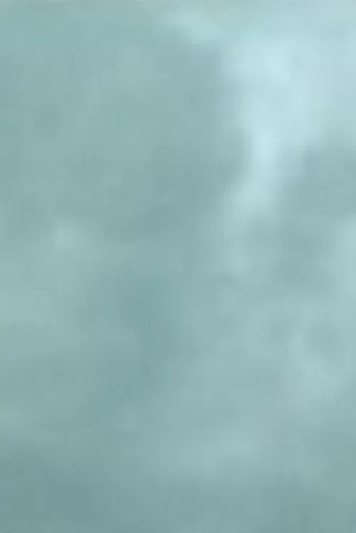 Carte de Visite movie poster