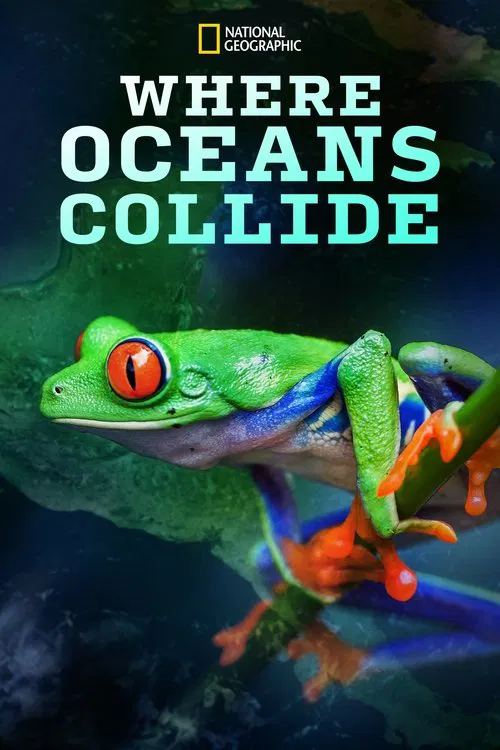 Where Oceans Collide movie poster