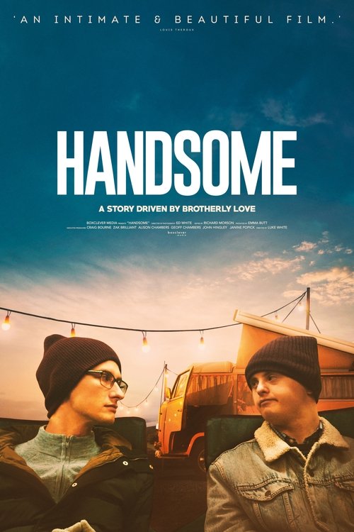 Handsome movie poster