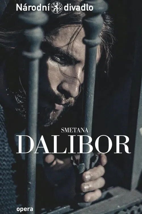 Poster do filme Dalibor