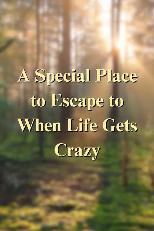 A Special Place to Escape to When Life Gets Crazy movie poster