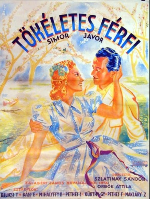 Tökéletes férfi movie poster